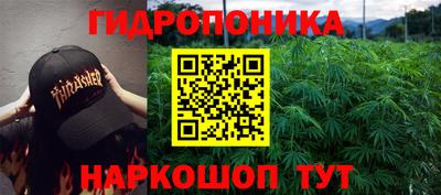 индика Гусь-Хрустальный