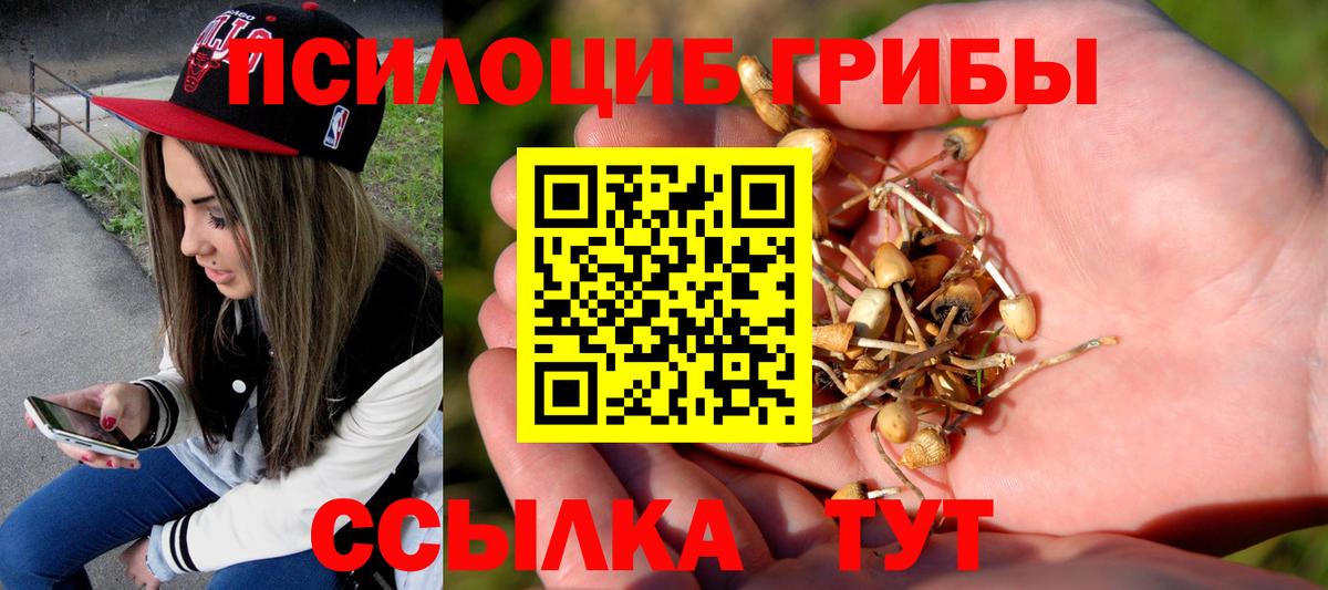 Псилоцибиновые грибы MAGIC MUSHROOMS  Вход с VPN  Сарапул 